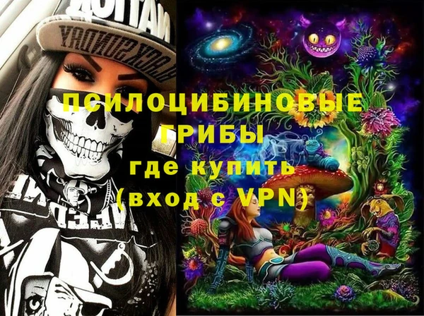 СК Аркадак