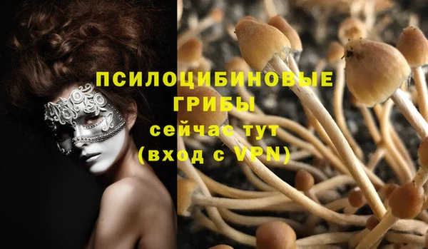 ГАЛЛЮЦИНОГЕННЫЕ ГРИБЫ Балабаново