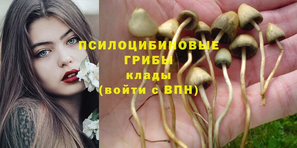 стаф Армянск
