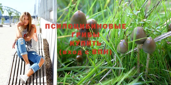 трава Арсеньев