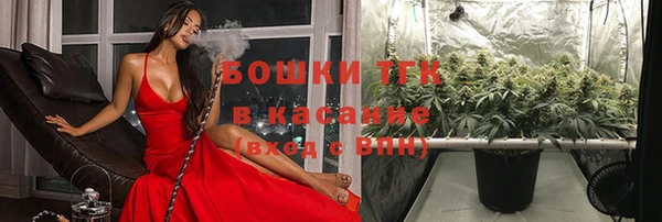 СК Аркадак