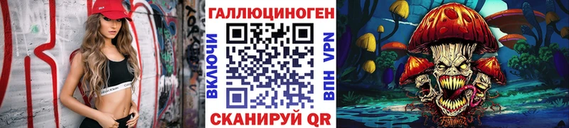 Галлюциногенные грибы Psilocybine cubensis Бежецк